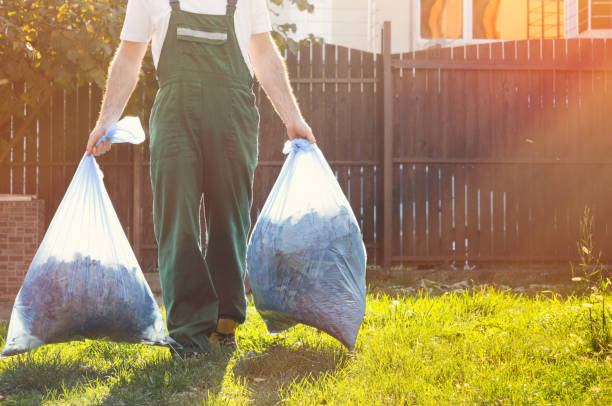 Best Furniture Removal  in Denver, IA